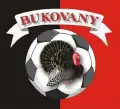 SK Družba Bukovany