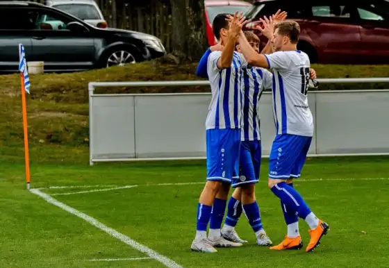 Hrádek A - Višňová 6:0
